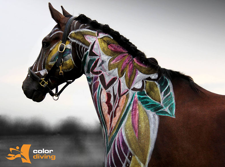 HORSE PAINTING by Marlies Brinker, Rheine NRW, Bodypainting mit Fotoshooting www.color-diving.com